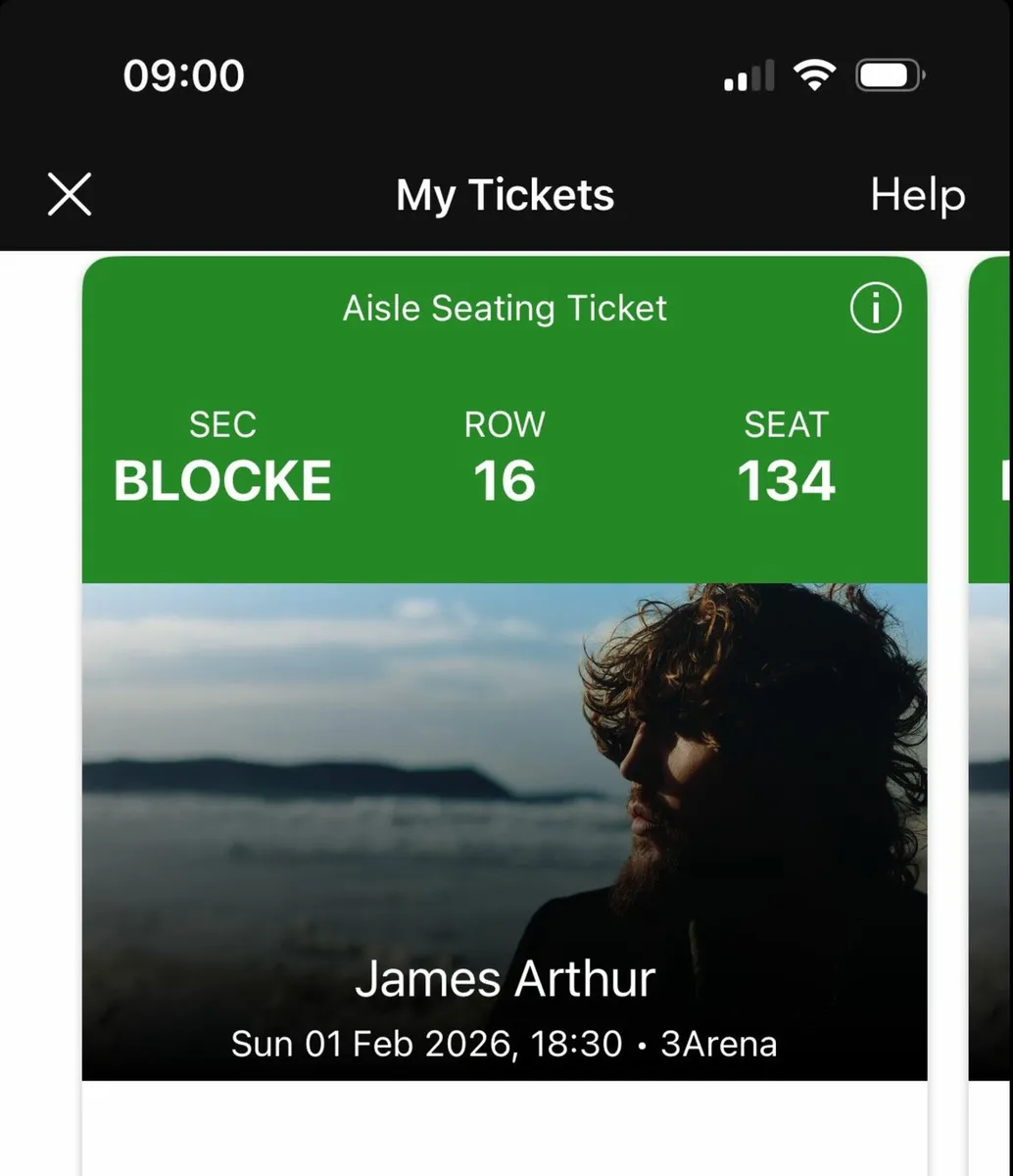 2 Tickets for James Arthur 3 Arena - 1st Feb - Image 2