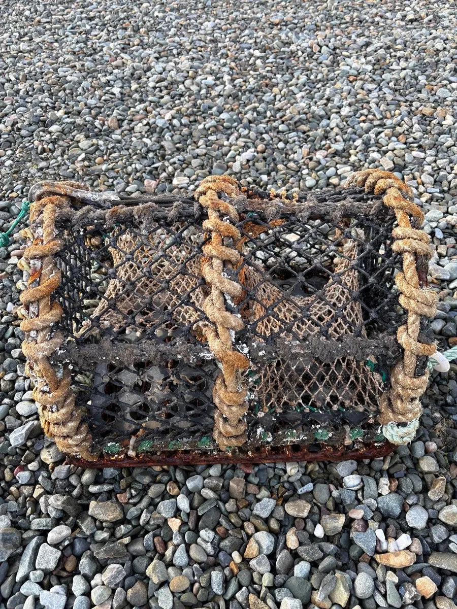 22” crab pots - Image 1