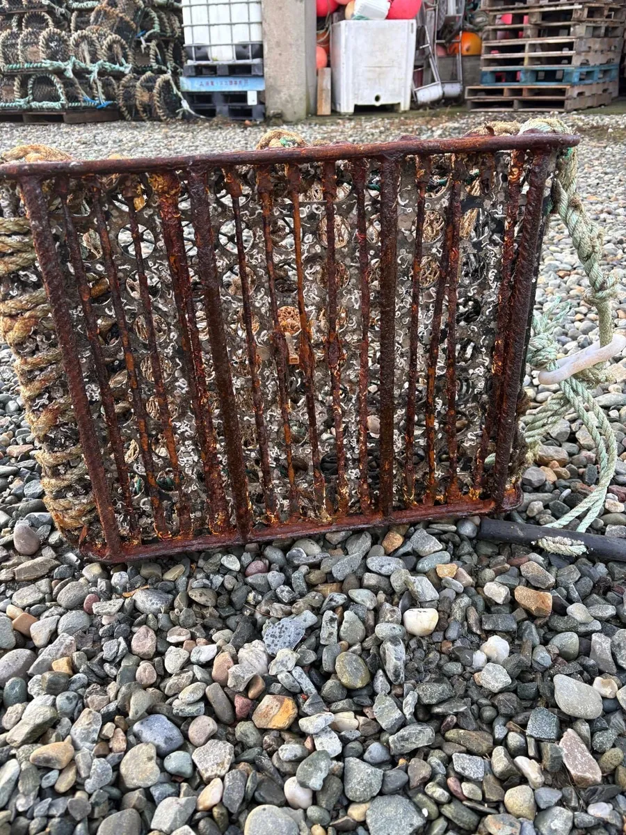 22” crab pots - Image 2