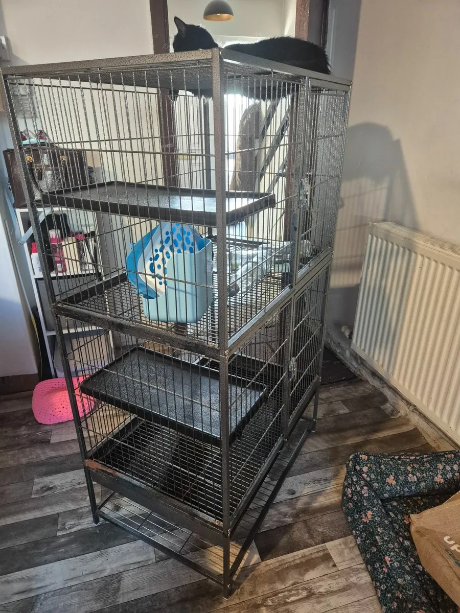 Cage for Rodents - Image 2