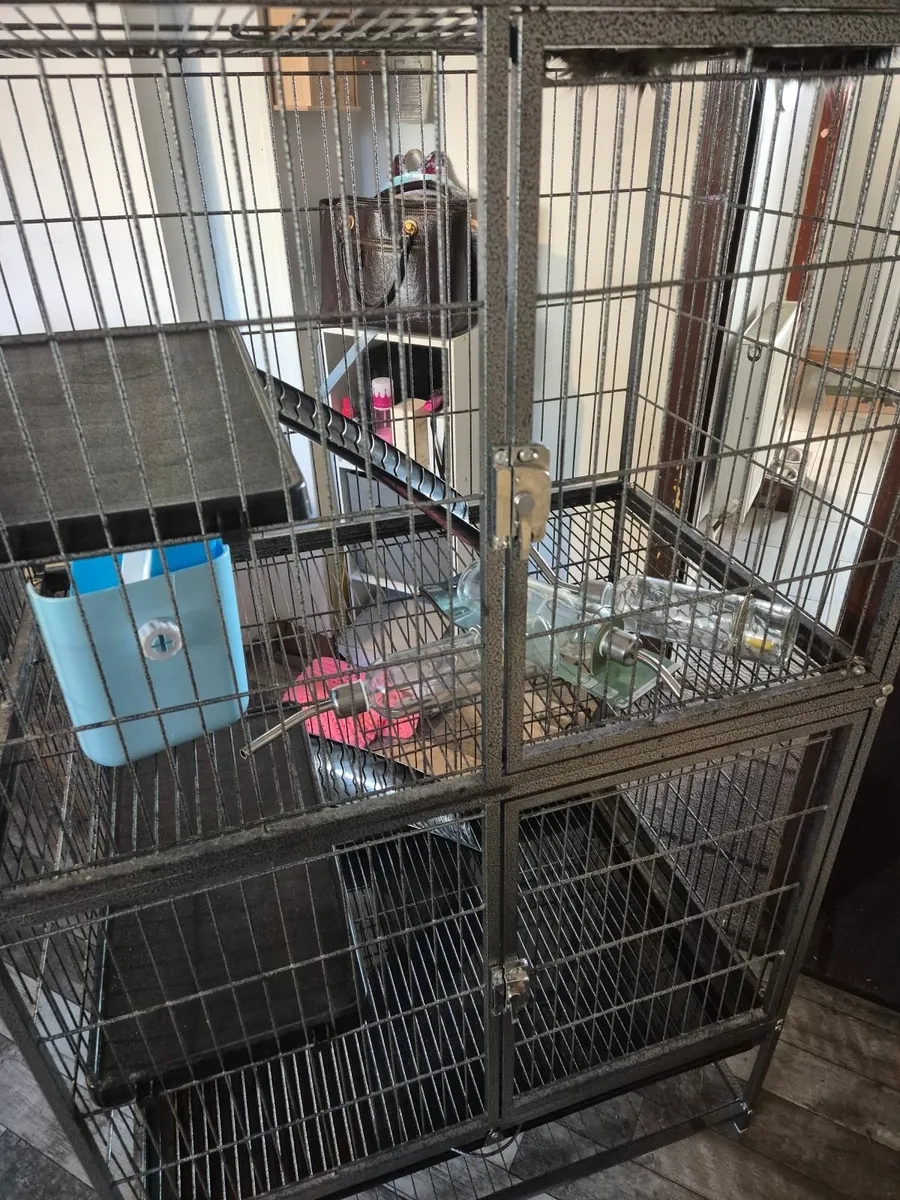 Cage for Rodents - Image 3