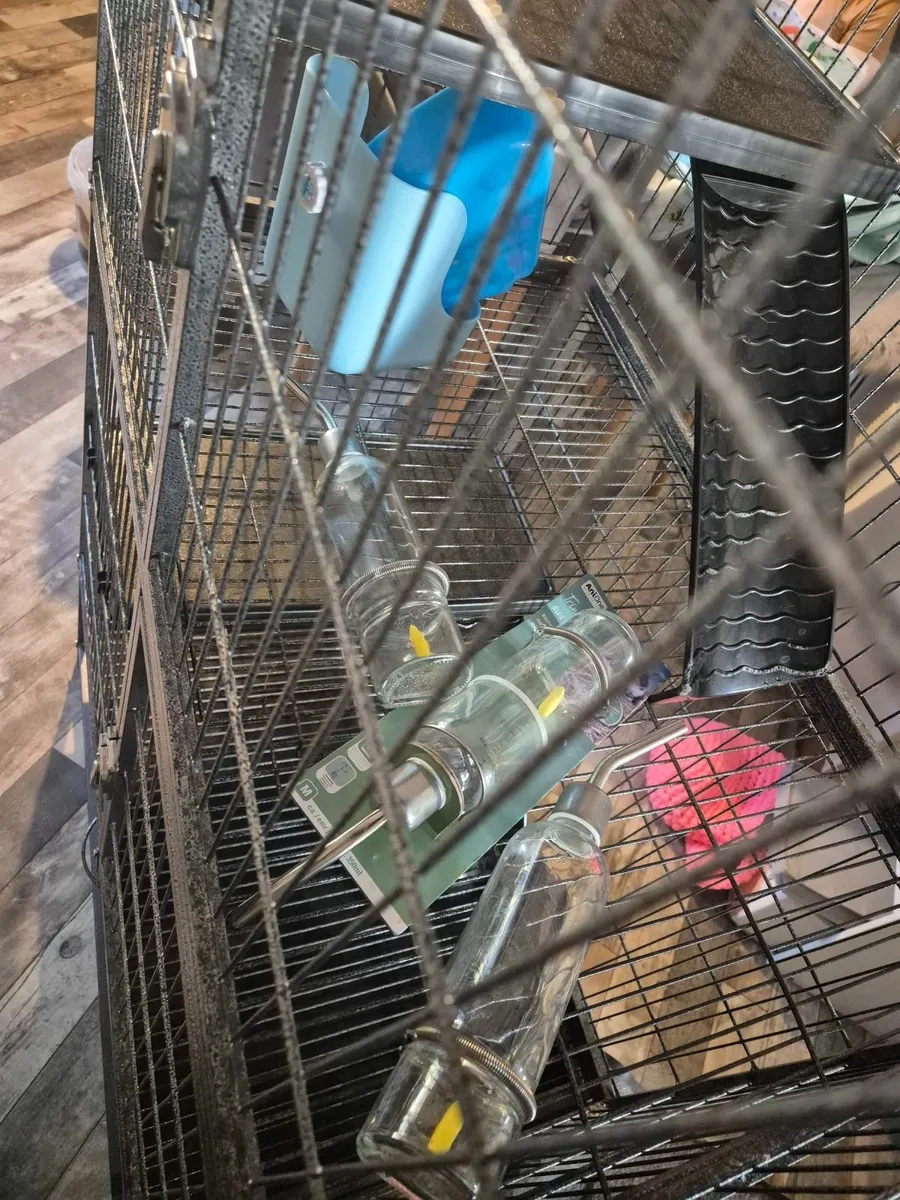 Cage for Rodents - Image 4