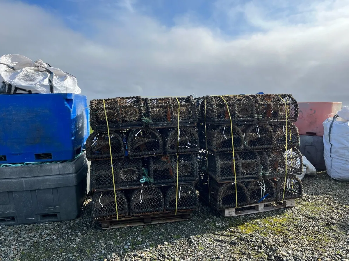 24” crab pots - Image 1