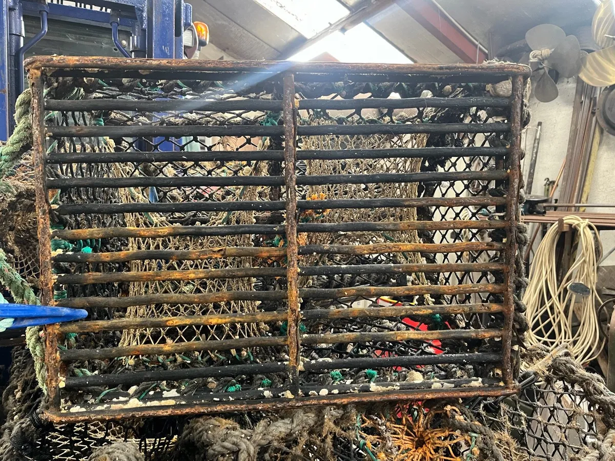 24” crab pots - Image 2