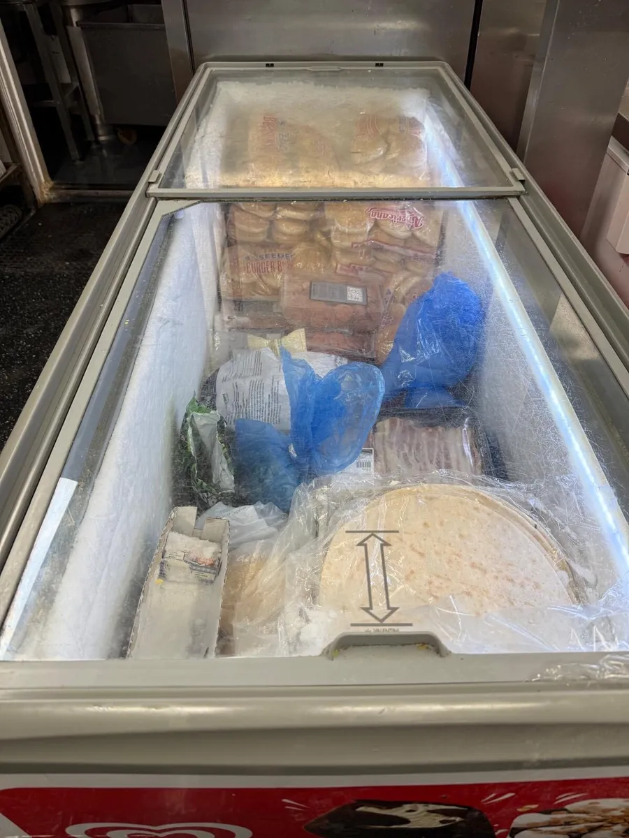 commercial chest freezer - Image 4