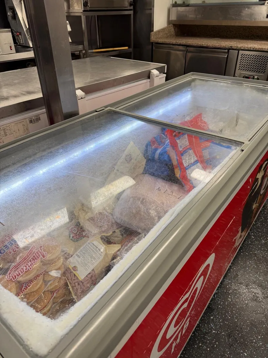 commercial chest freezer - Image 2