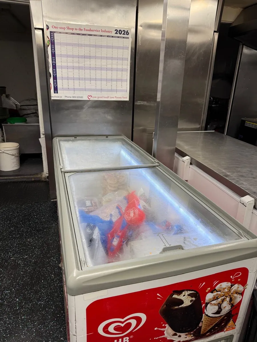 commercial chest freezer - Image 3