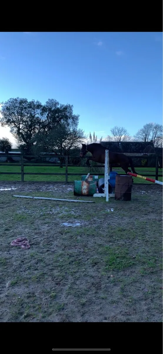 Project prospect - Image 2