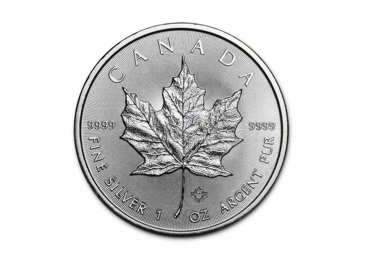 1oz Silver Maple Leaf (2019) - Security & Purity - Image 1