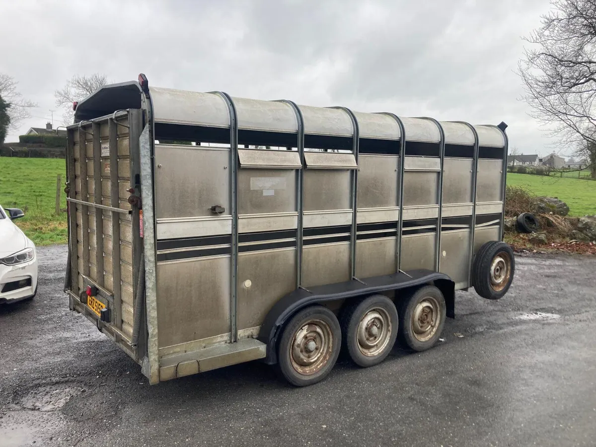 Trade Sale Ifor Williams 14 Cattle Trailer NO VAT - Image 2