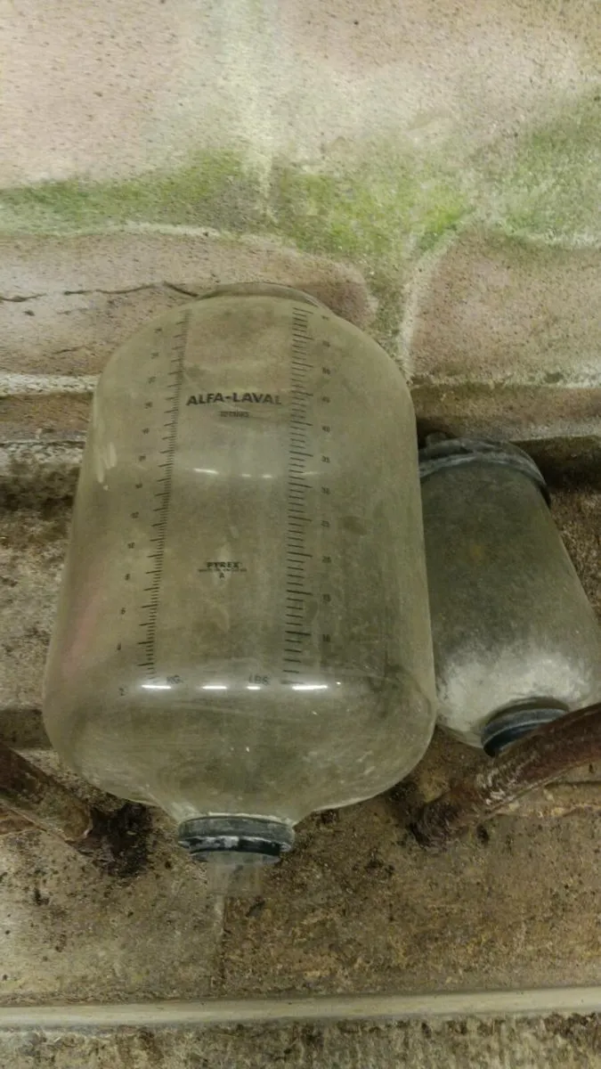 Receiving Jams - Image 2