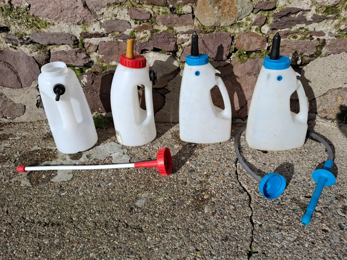 Calf Feeders, Stomach Tubers & Colostrum Bags - Image 3