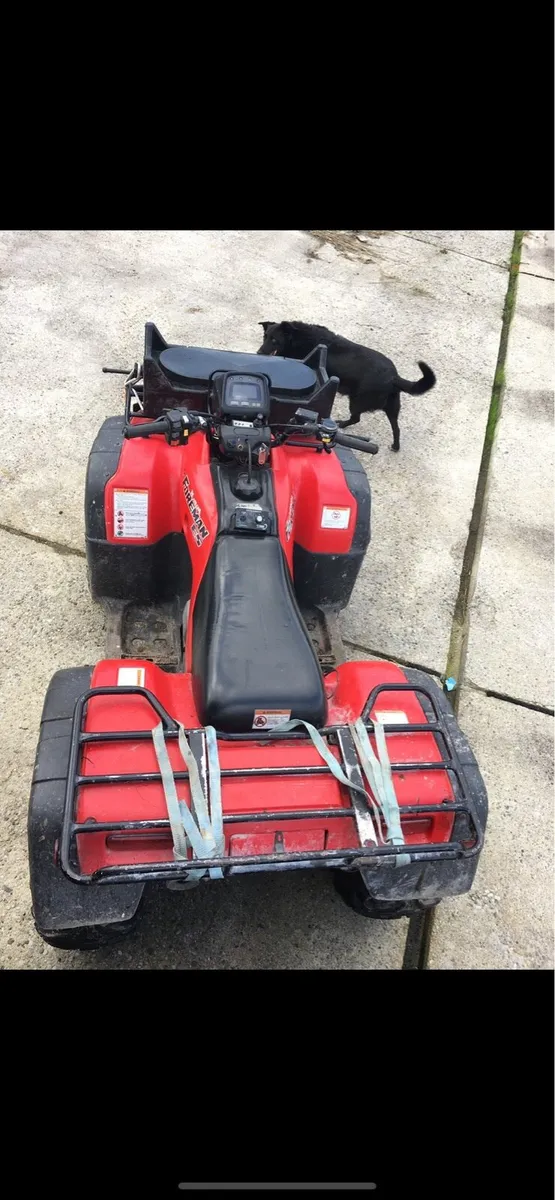 Foreman 450 - Image 2