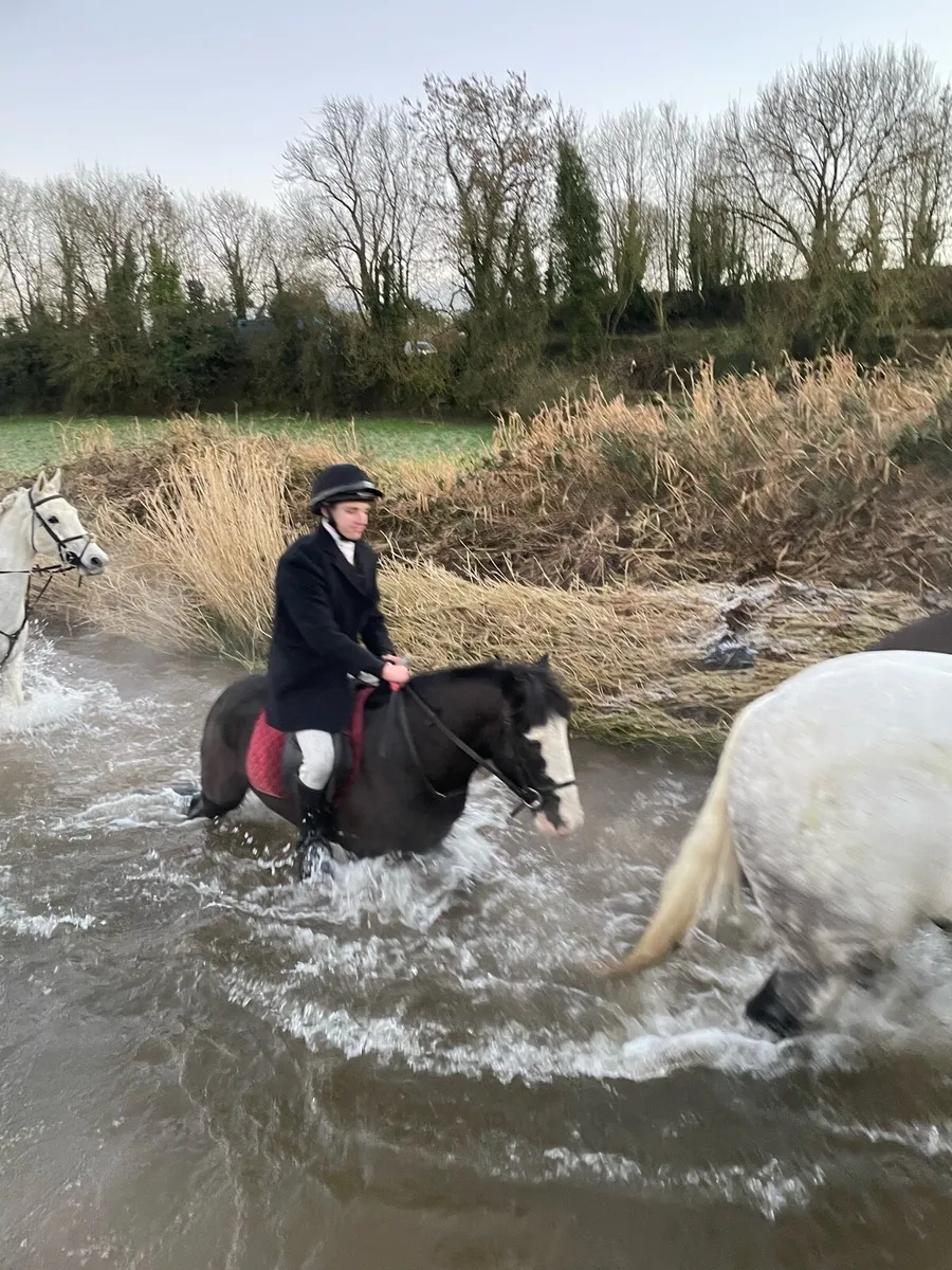 Super Hunting Pony - Image 3