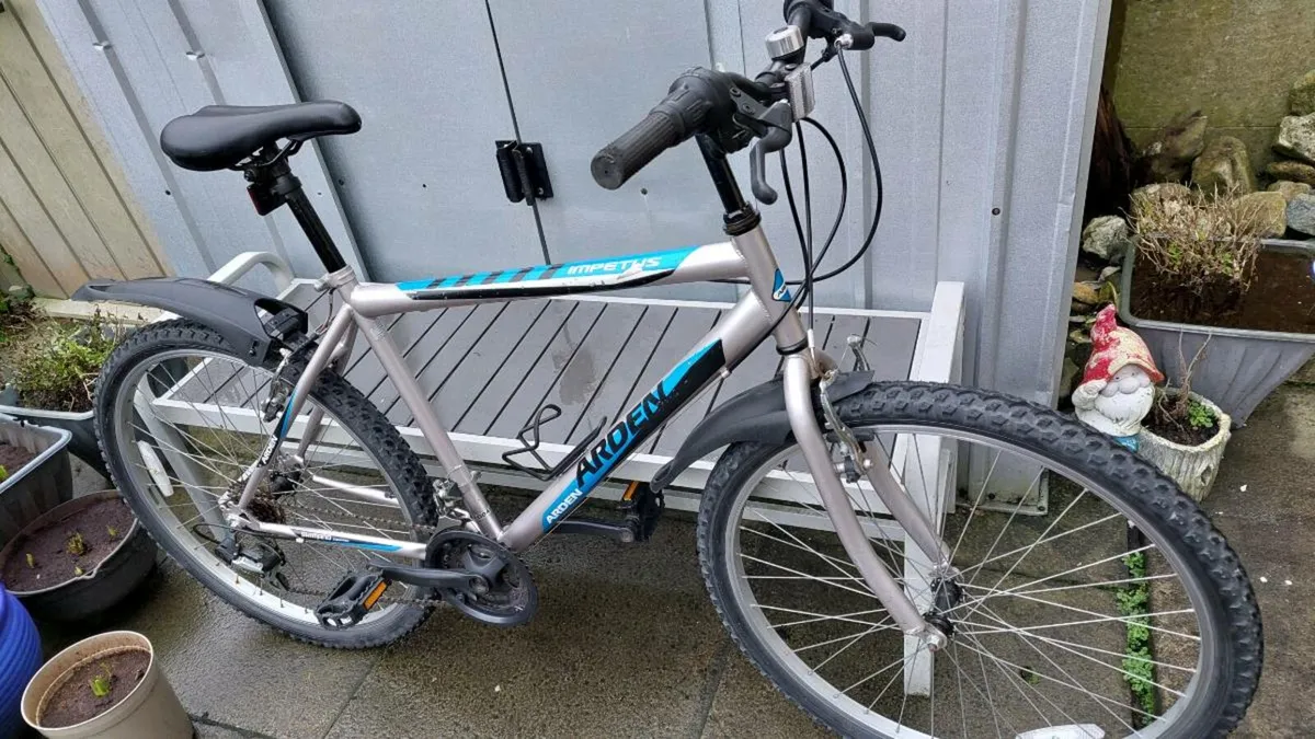 Arden Hardtail Mountain Bike - Image 3