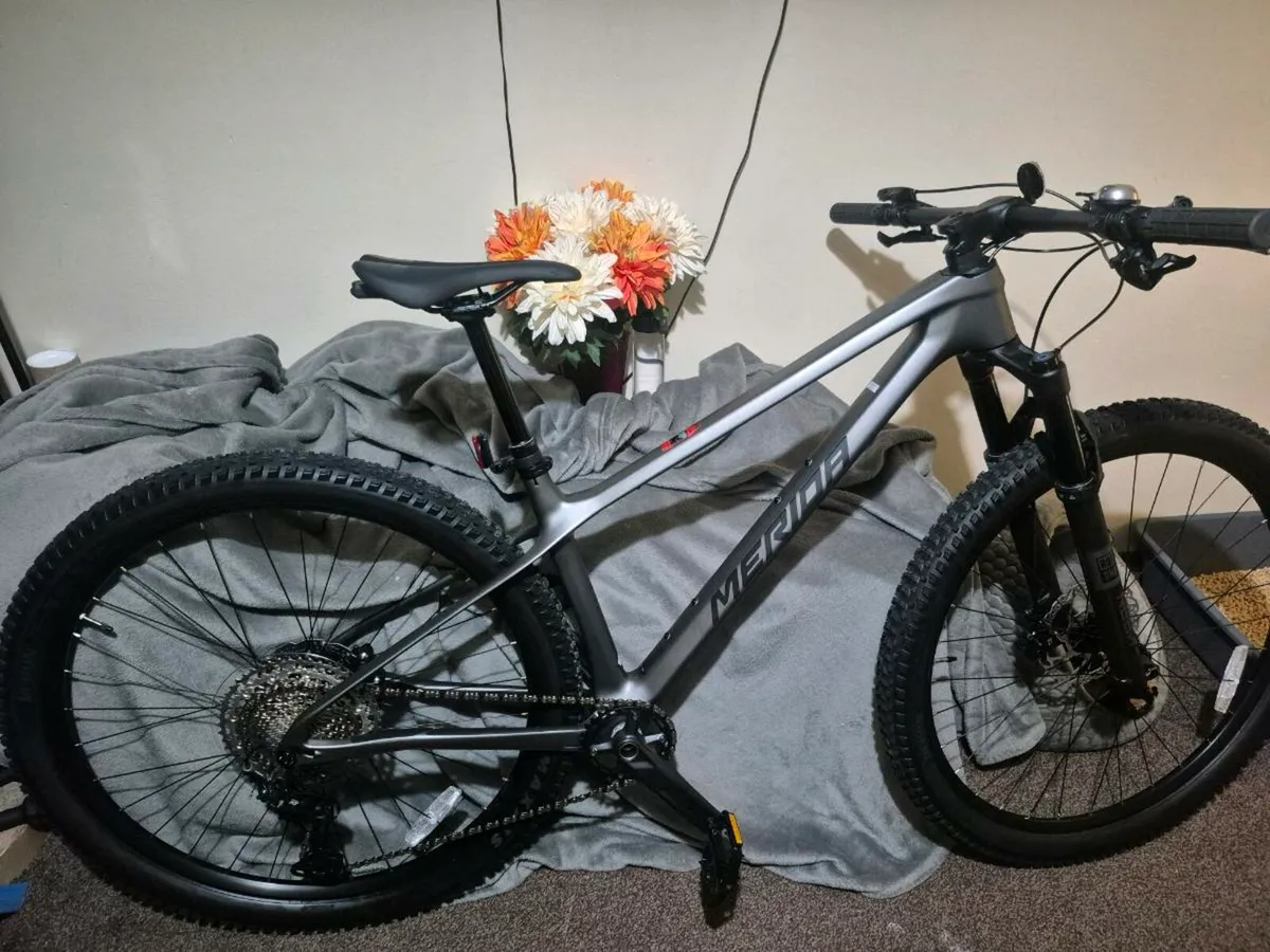 Mountain bike, road/off road - Image 1