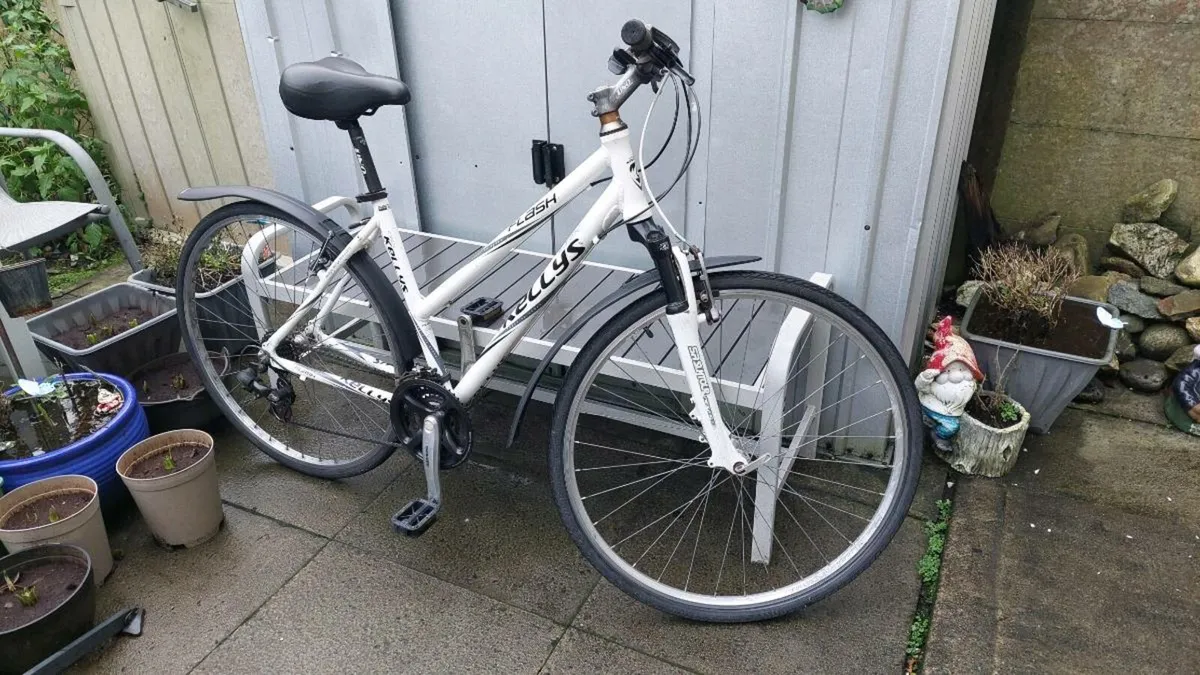 Kelly's Flash CRX Hybrid Bike - Image 1