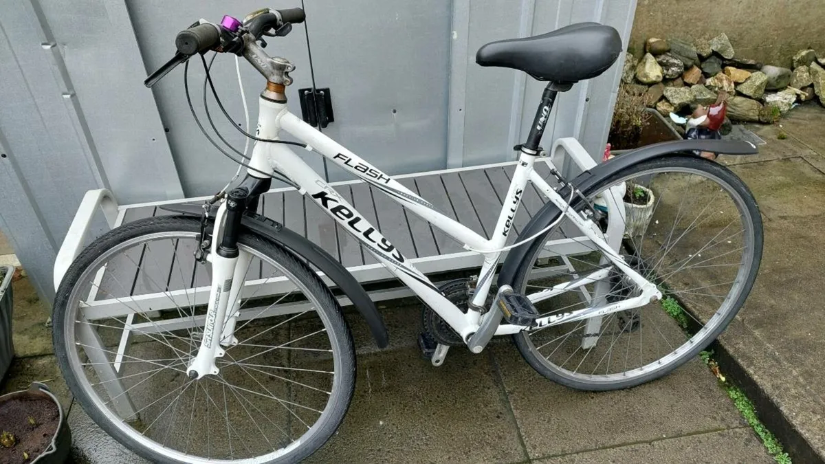 Kelly's Flash CRX Hybrid Bike - Image 2