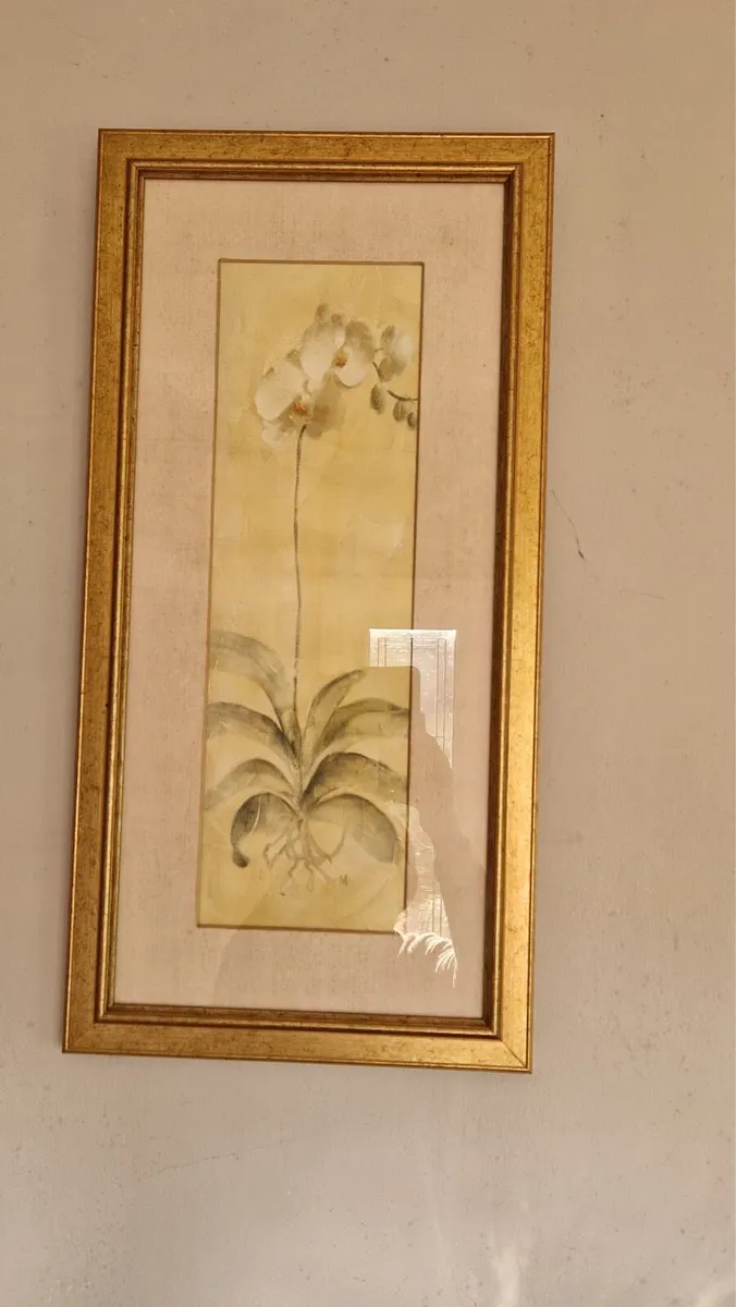 2 Pictures …   ‘white orchid panel’ prints
