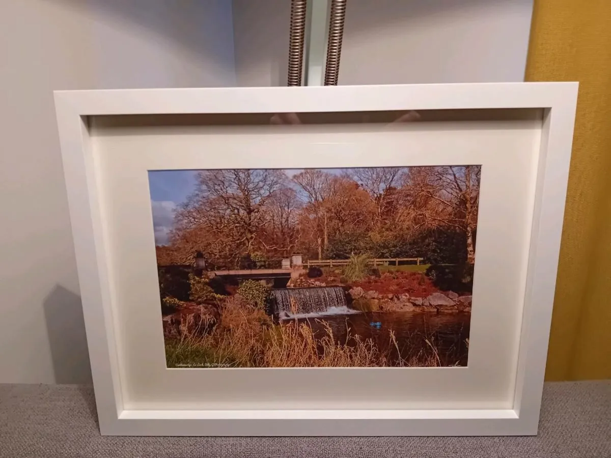 Castlemartyr Castle and Gardens - Image 4