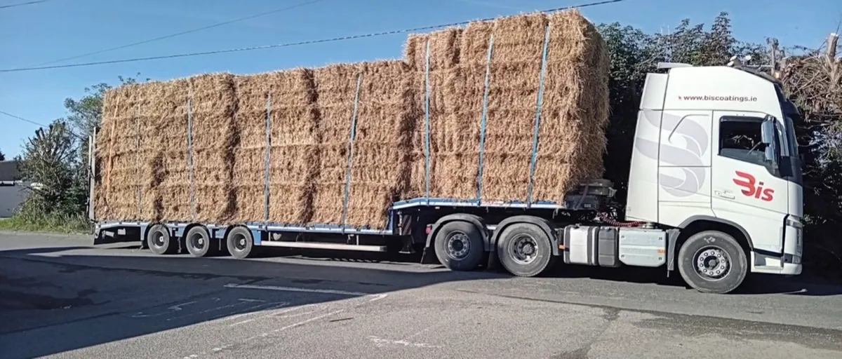 Spring chopped straw 8/4/3