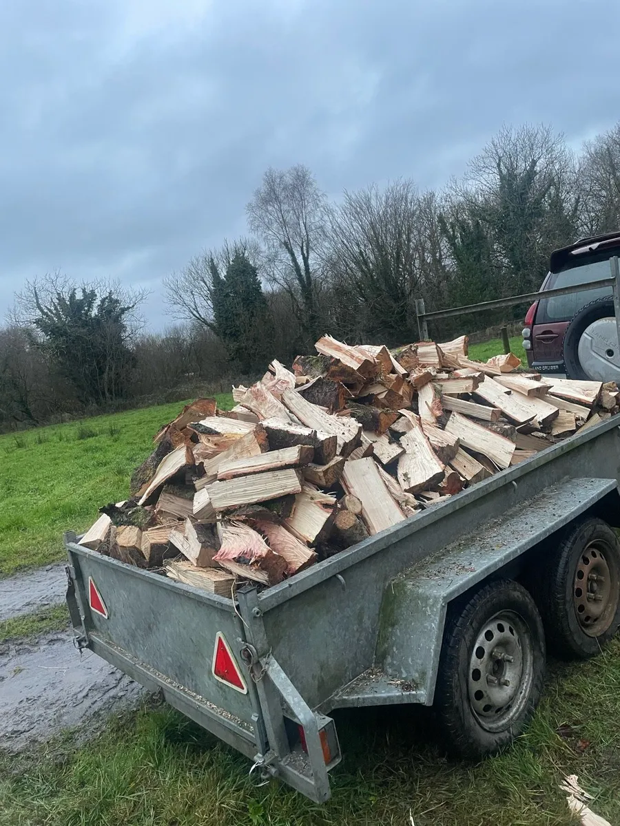 Seasoned Hardwood Firewood - Image 2