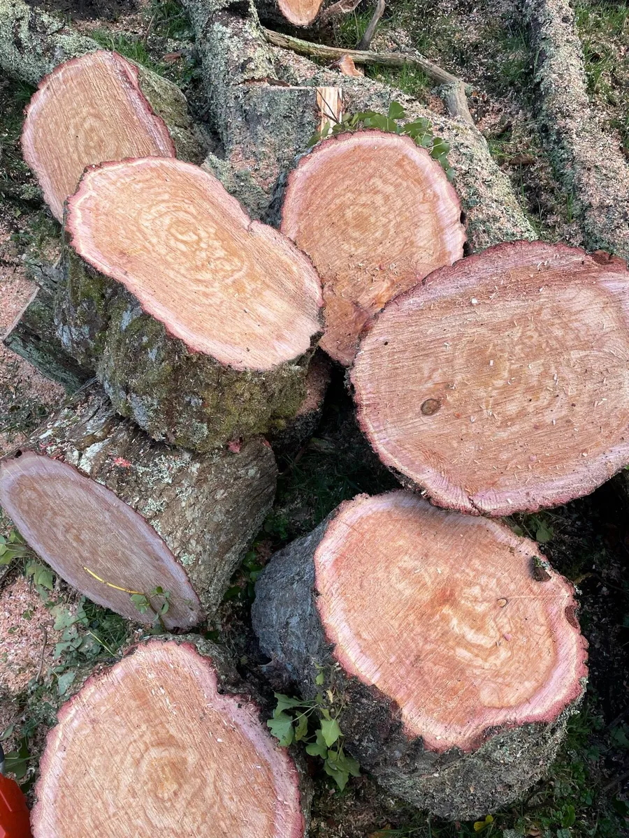 Seasoned Hardwood Firewood - Image 3