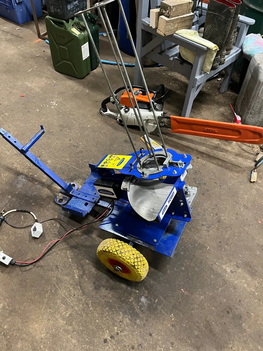 Clay pigeon trap electric - Image 2