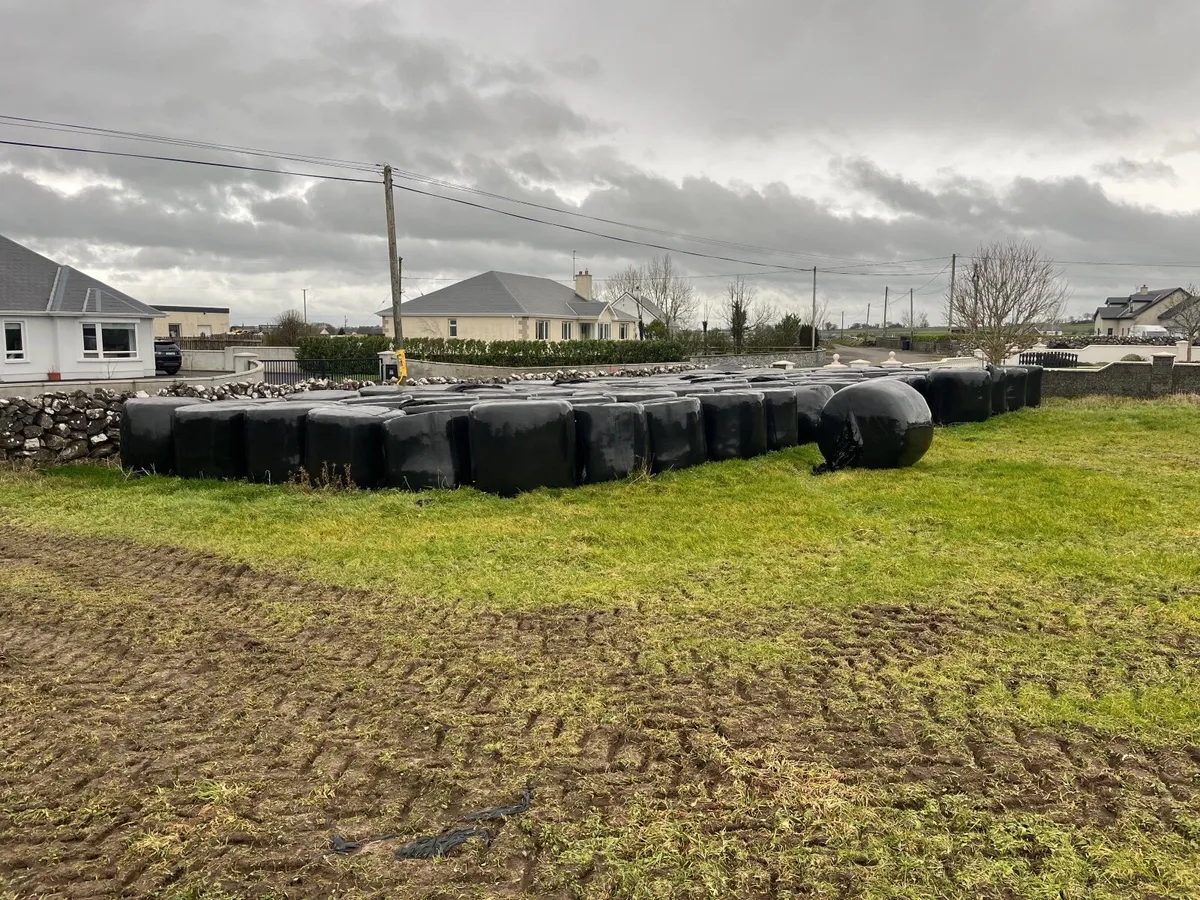 Bales of Silage