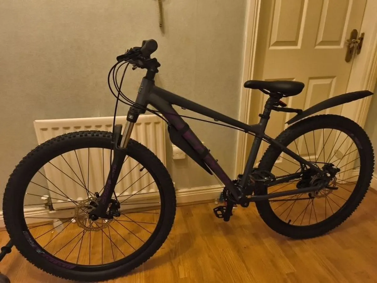 Correra ladies/teenagers Bike - Image 1