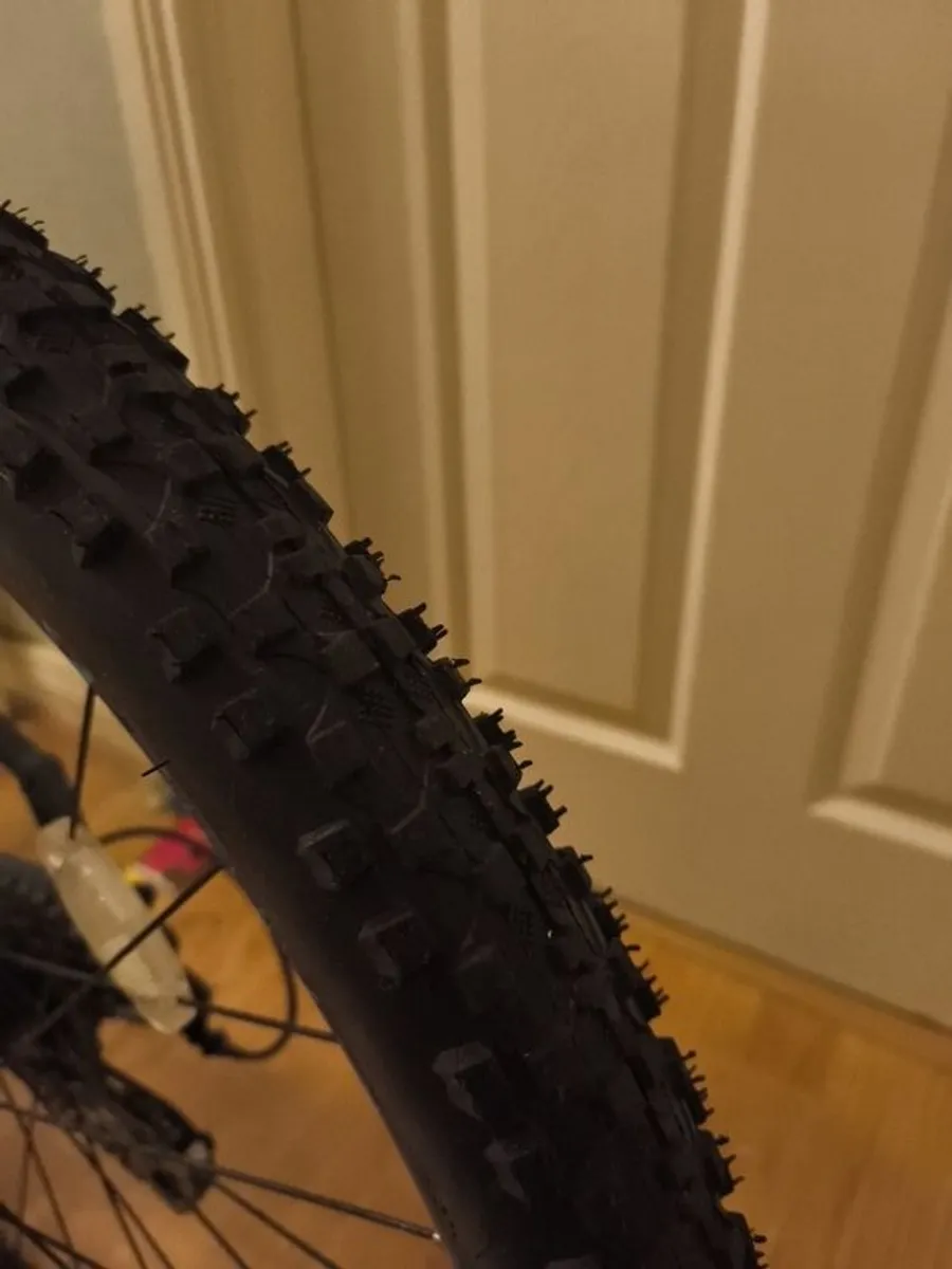 Correra ladies/teenagers Bike - Image 4