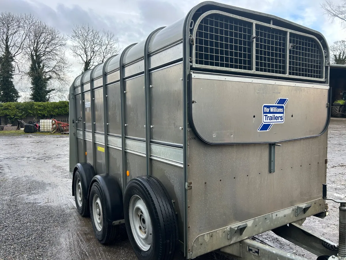 Ifor Williams 12ft Ta510 Livestock Trailer - Image 4