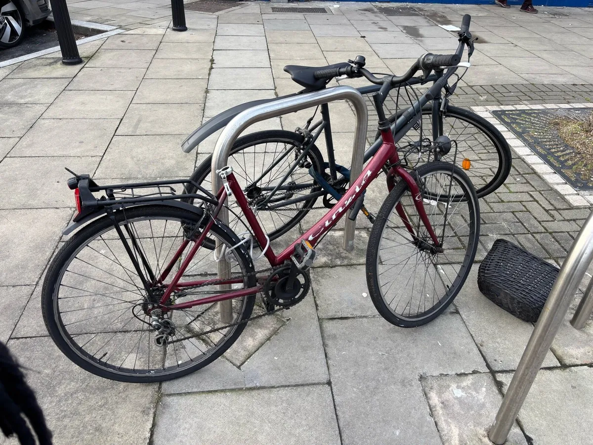 my wife’s poor bike - Image 1