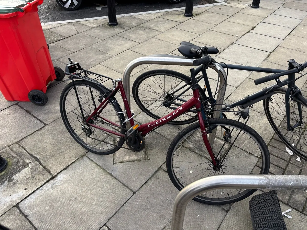 my wife’s poor bike - Image 2