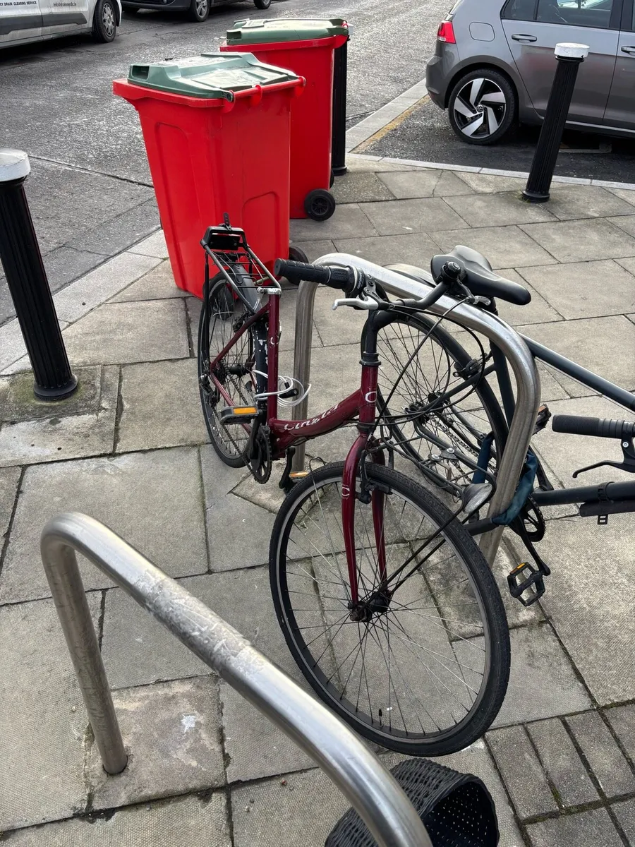 my wife’s poor bike - Image 3