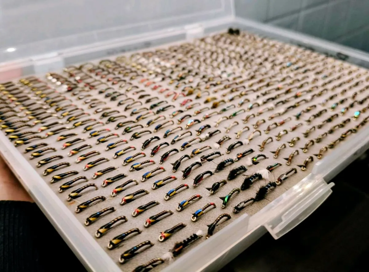 Box of 450 Buzzers for Fly Fishing - Image 2