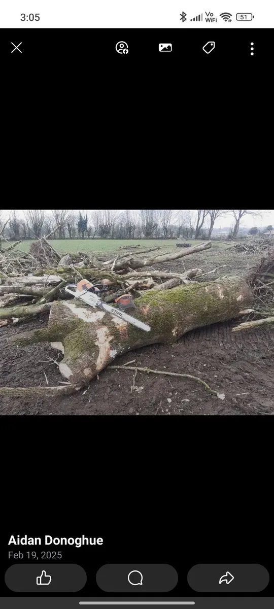 Digger hire / fuel supplied/ firewood. - Image 3