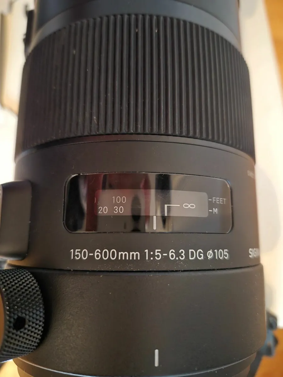 Sigma 150-600mm DG OS HSM Sport lens (Canon) - Image 2