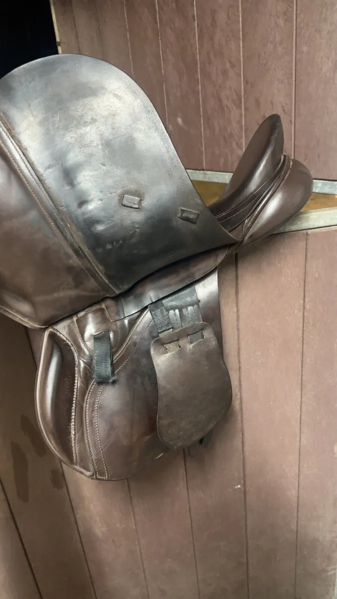 Albion Saddle 17.5 Inch - Image 2