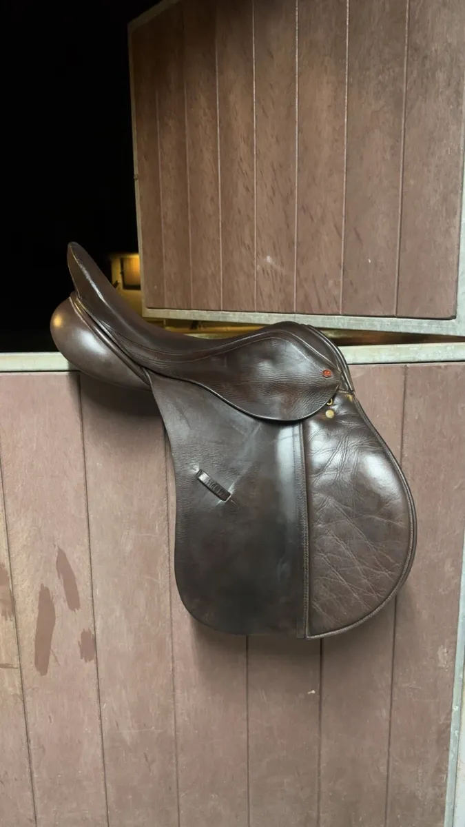 Albion Saddle 17.5 Inch - Image 3