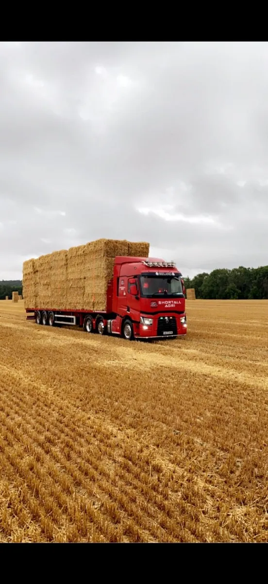 Chopped Wheat straw 8x4x3 - Image 1