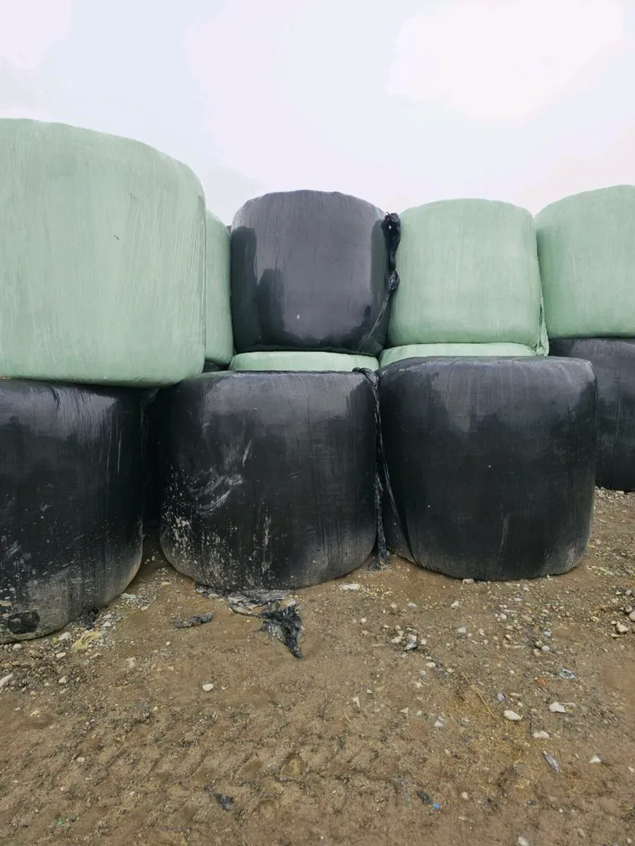Silage Bales - Image 1