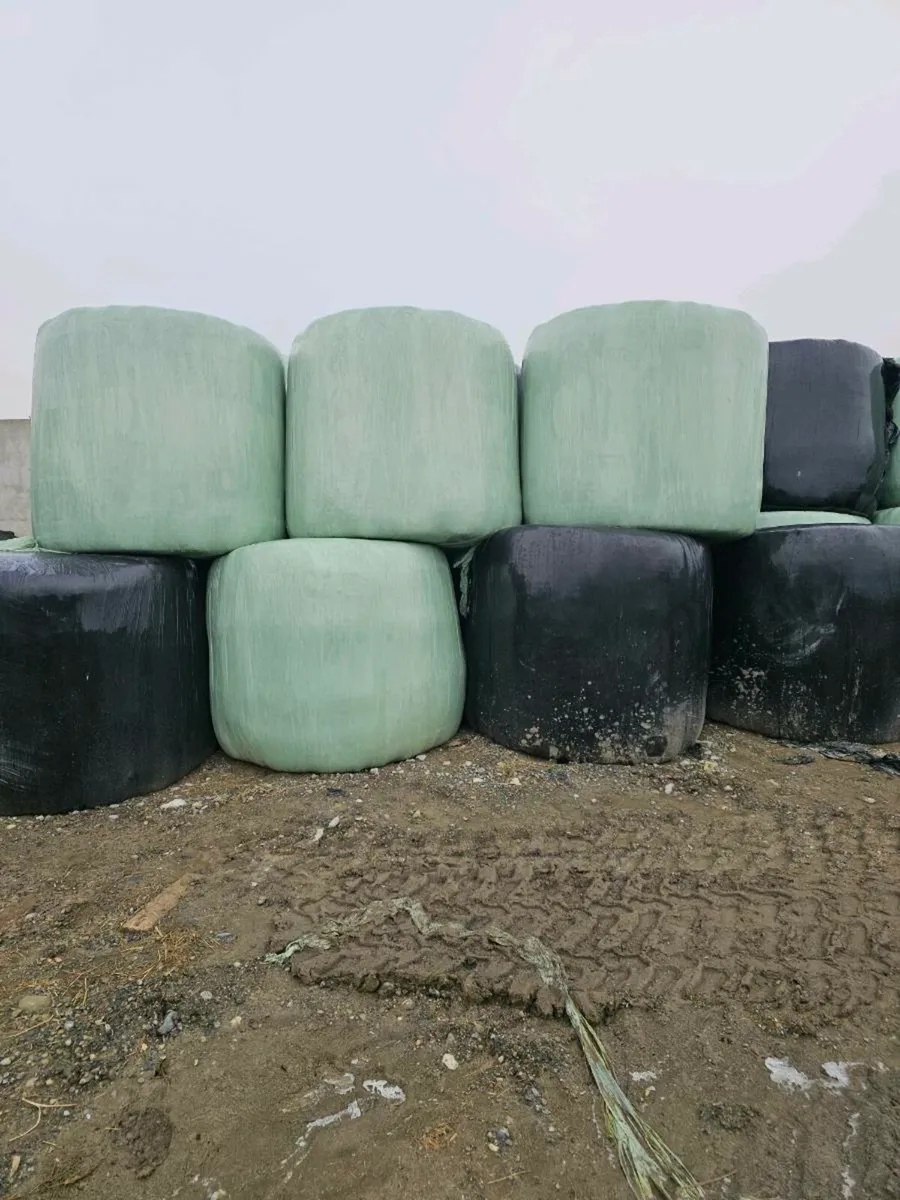 Silage Bales - Image 2