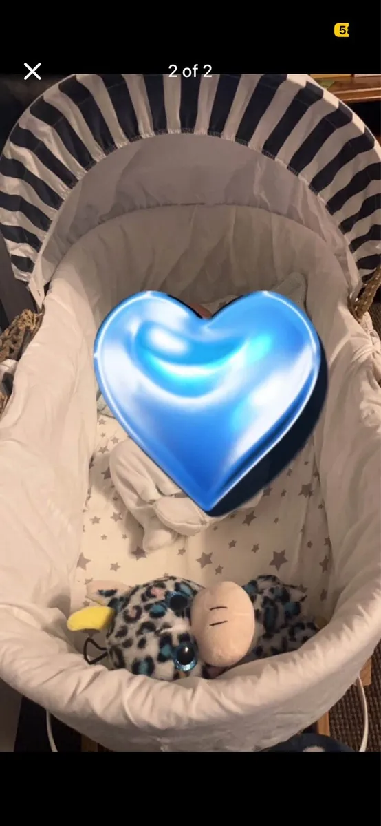 Moses basket - Image 2