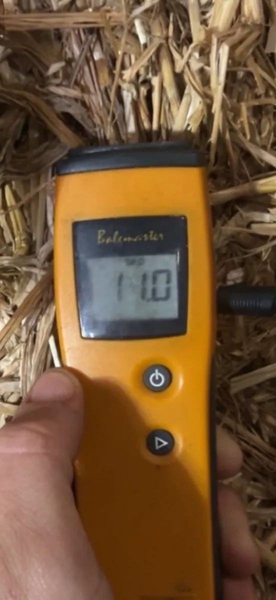 Chopped Wheat straw 8x4x3 - Image 3