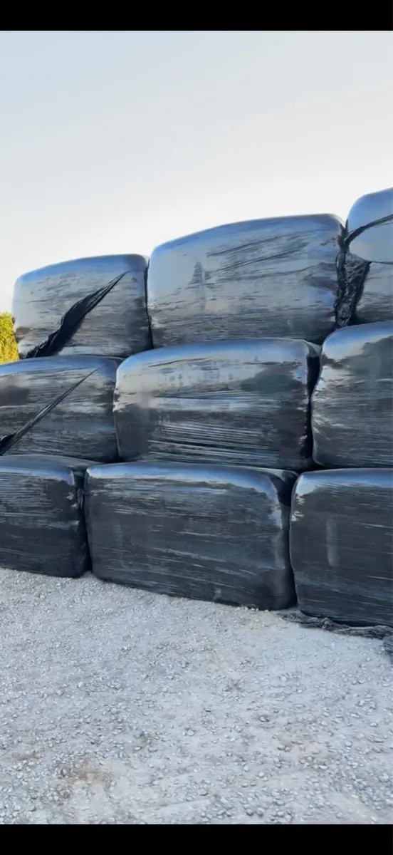 Silage 6x4x3 square bales - Image 1