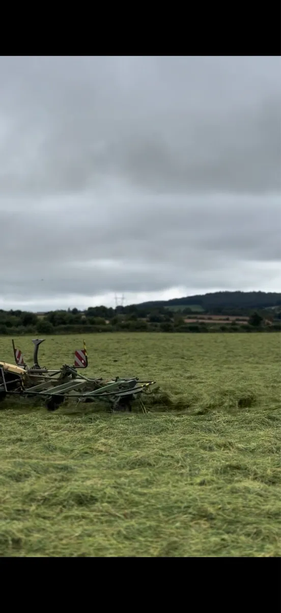Silage 6x4x3 square bales - Image 3