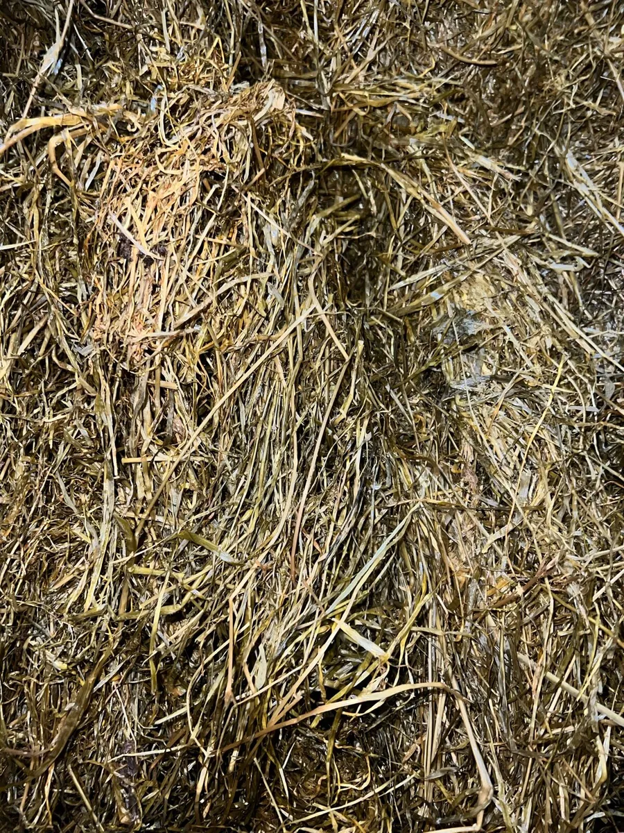 ❌100 bales Top quality ❌