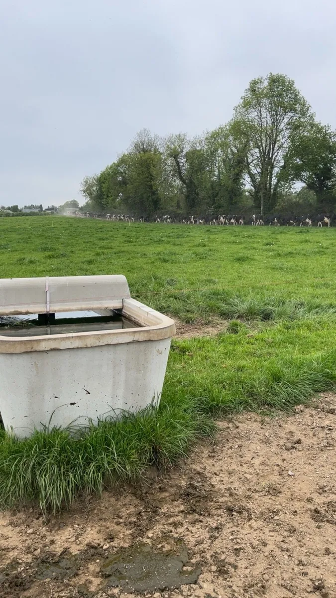 Weekend Milker wanted