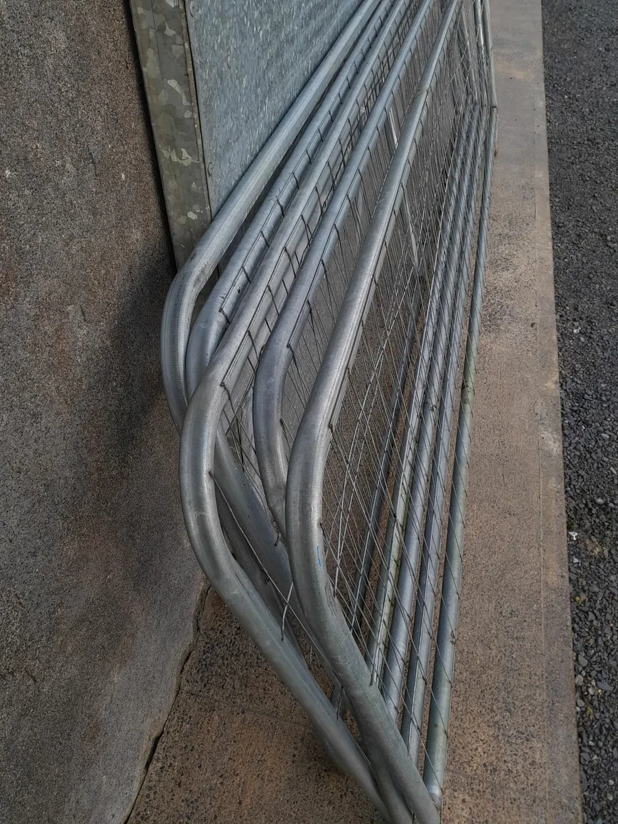 Sheep/Lamb pens - Image 4